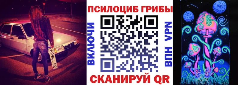блэк спрут как войти Нерчинск Псилоцибиновые грибы Psilocybe